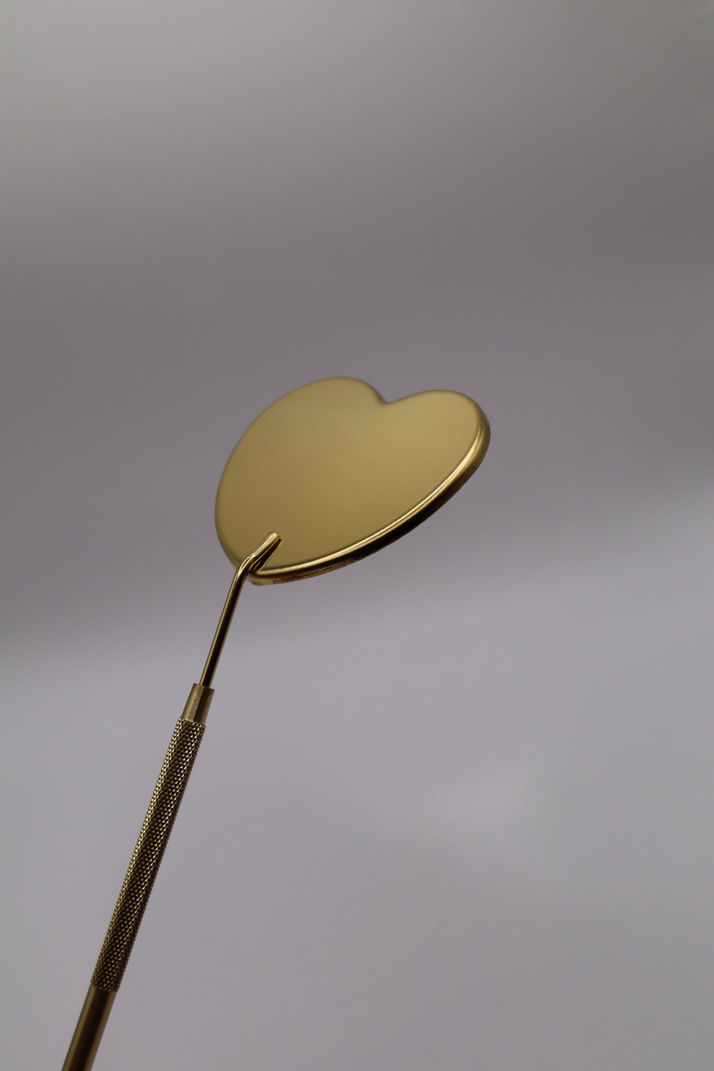 Lash mirror