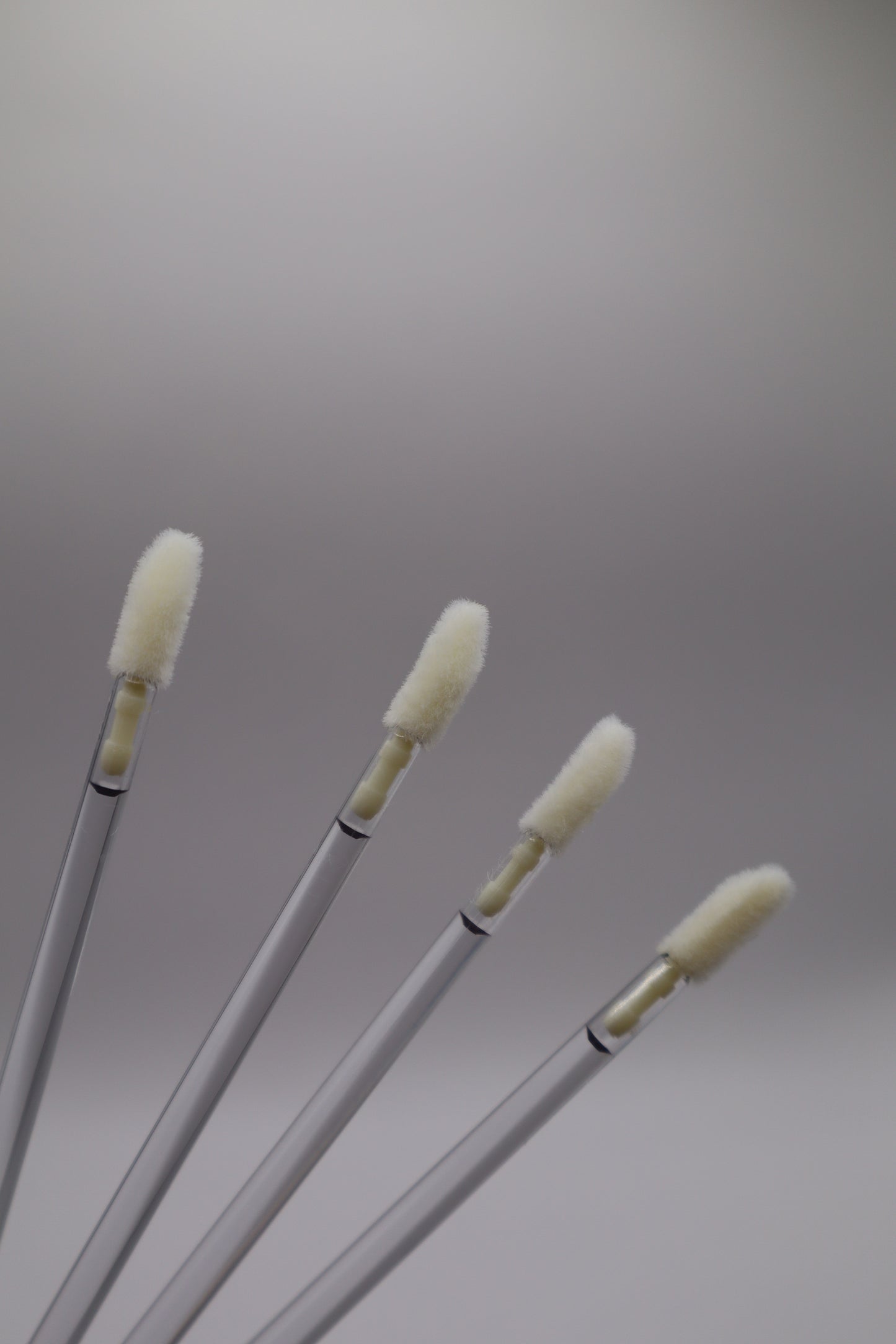 Lip Swabs