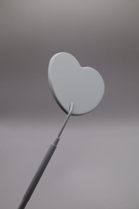 Lash mirror