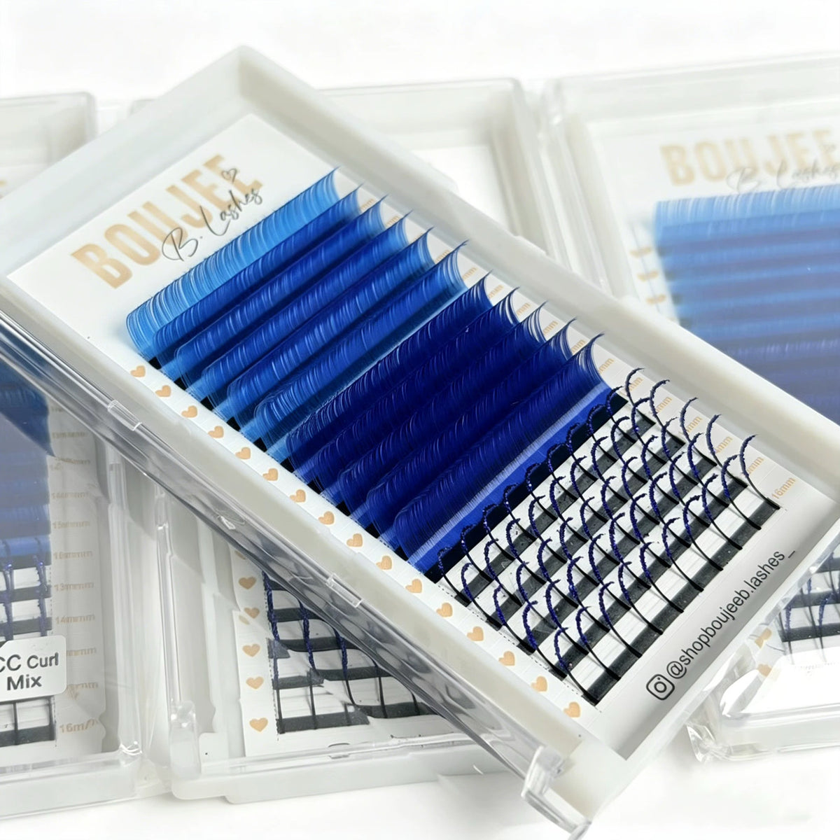 B Collection Colored Lash Trays ✨