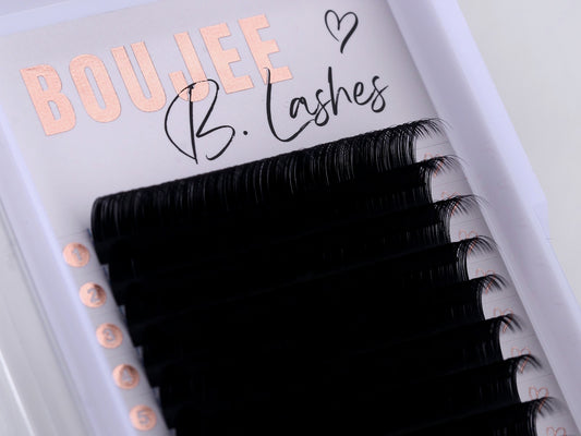 $7 16 Row Lash trays